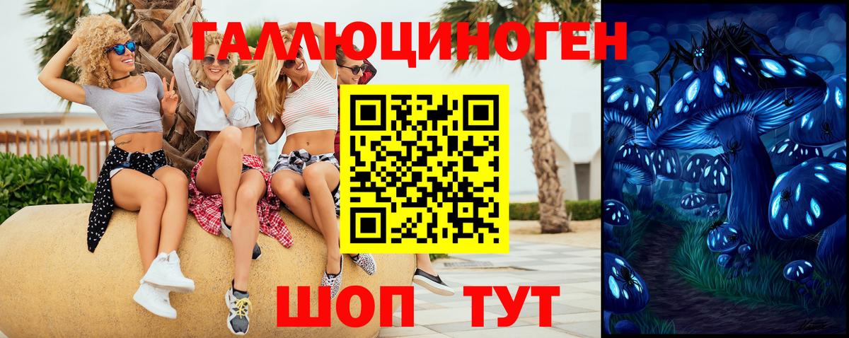 Галлюциногенные грибы MAGIC MUSHROOMS  Вход с VPN  продажа наркотиков  Чапаевск  Галлюциногенные грибы Psilocybe 