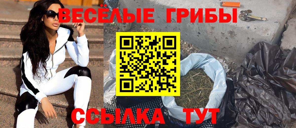 Псилоцибиновые грибы GOLDEN TEACHER Чапаевск