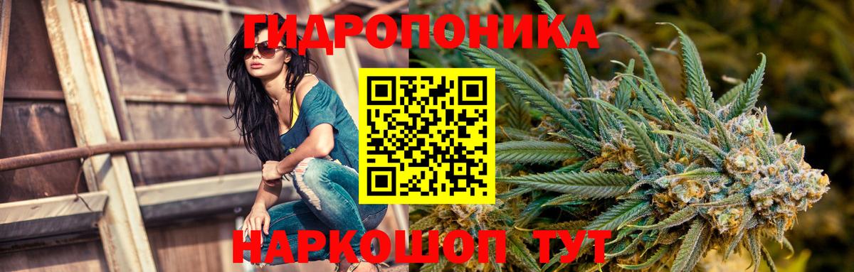 Каннабис план Чапаевск